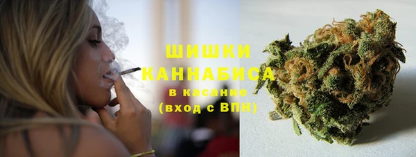 PSILOCYBIN Кинешма