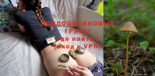 PSILOCYBIN Кинешма