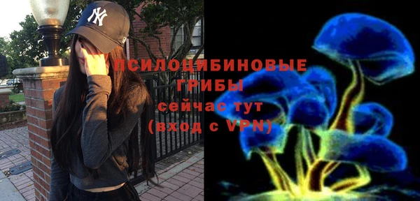PSILOCYBIN Кинешма